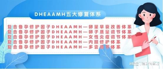 Bandao体育半岛我的卵巢早衰想怀孕的补救和恢复方法(图3)
